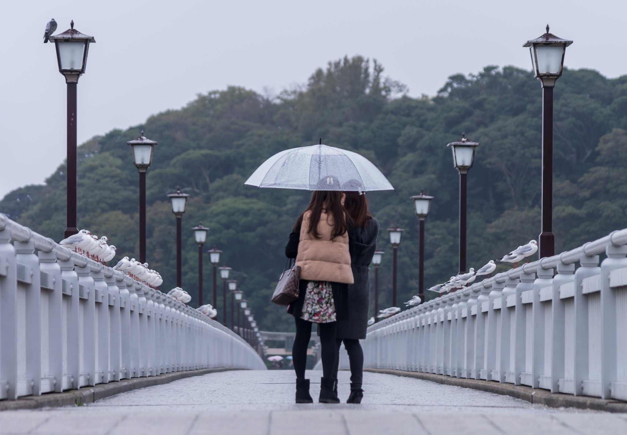 閲兵式