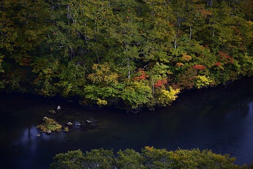 鶴間池の紅葉