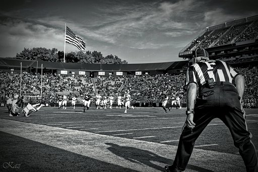 Referee 白黒バージョン