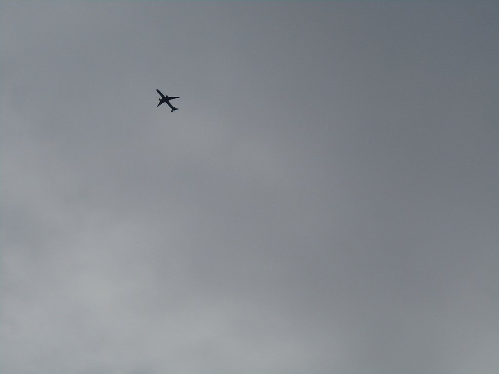 どんどん上空に上がっていきます