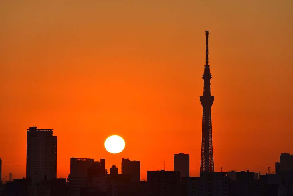 目覚めの朝景
