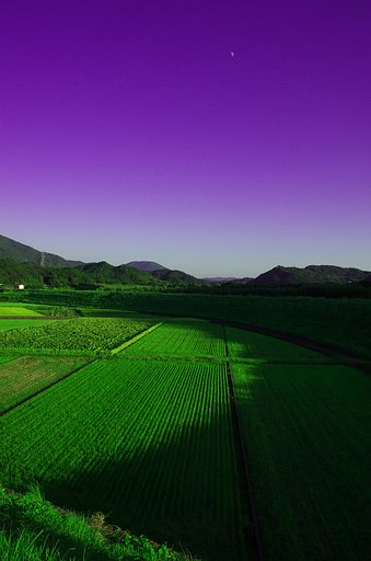 瀬戸の内海
