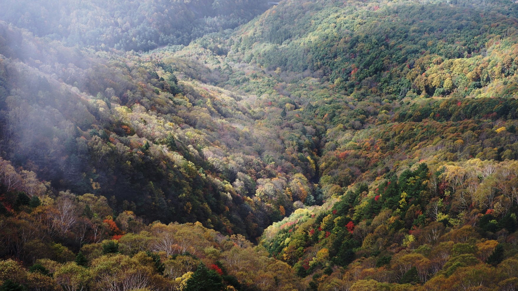 新穂高ロープウエー