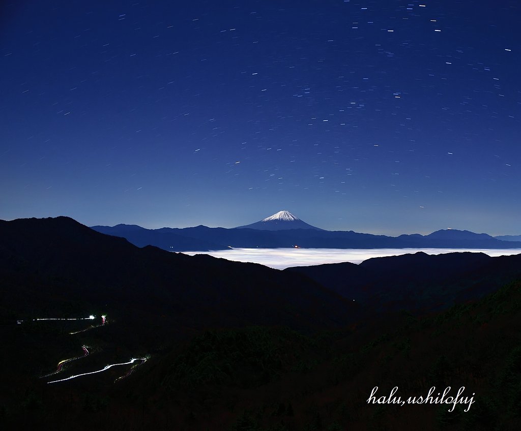 静かなる夜遊び