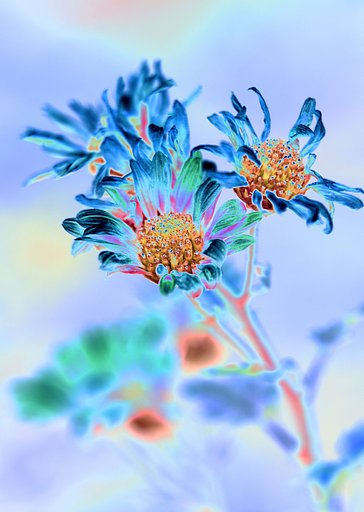 花