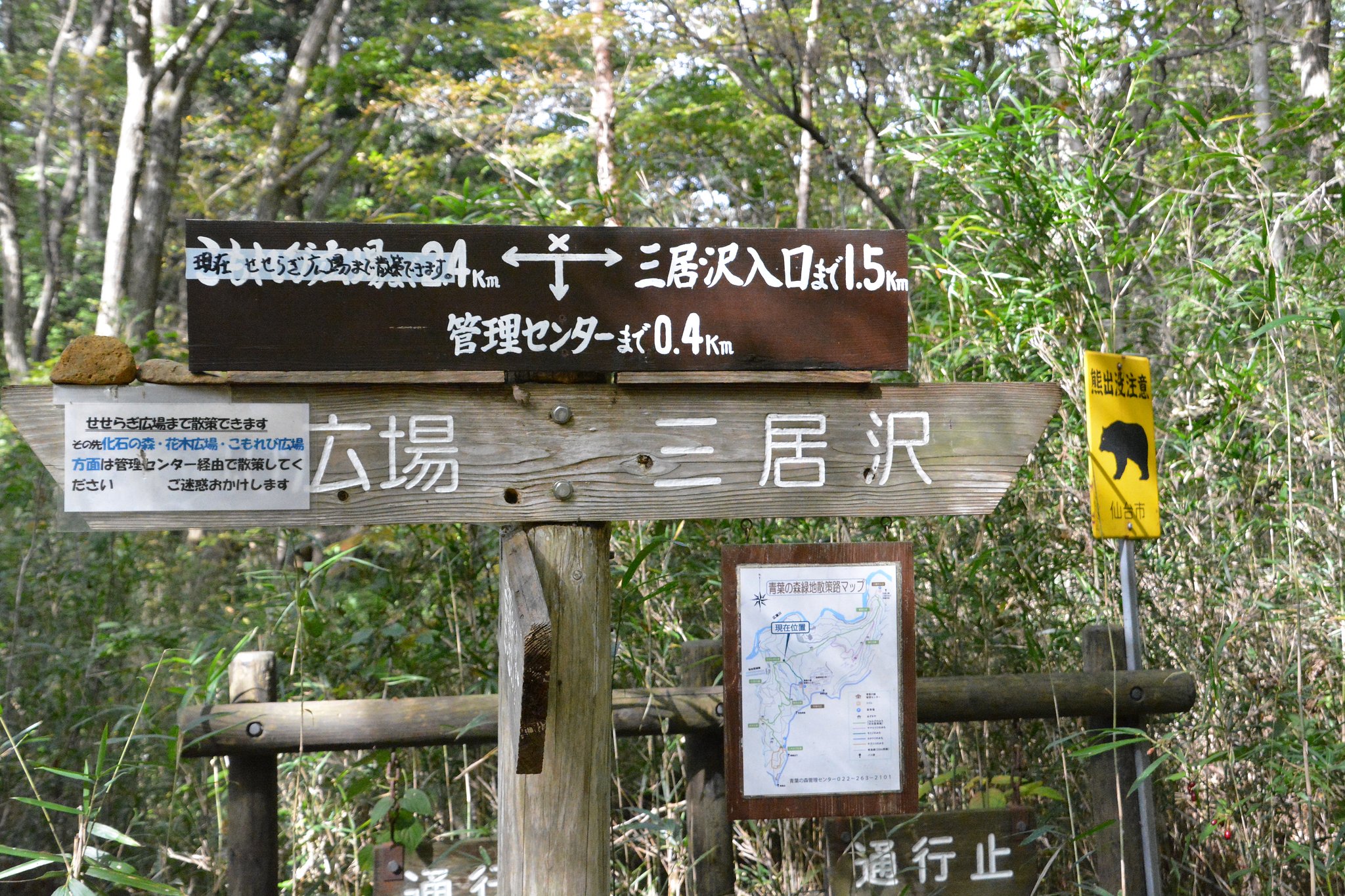 どうも熊が気になります。