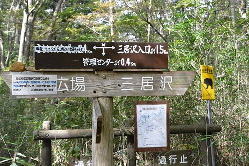 どうも熊が気になります。