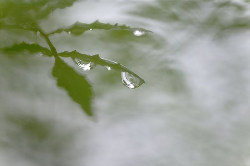 【淡】い幻想