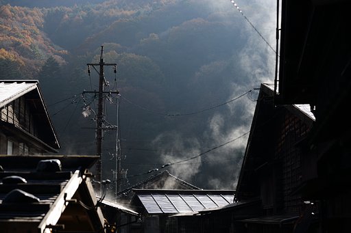 霜の朝