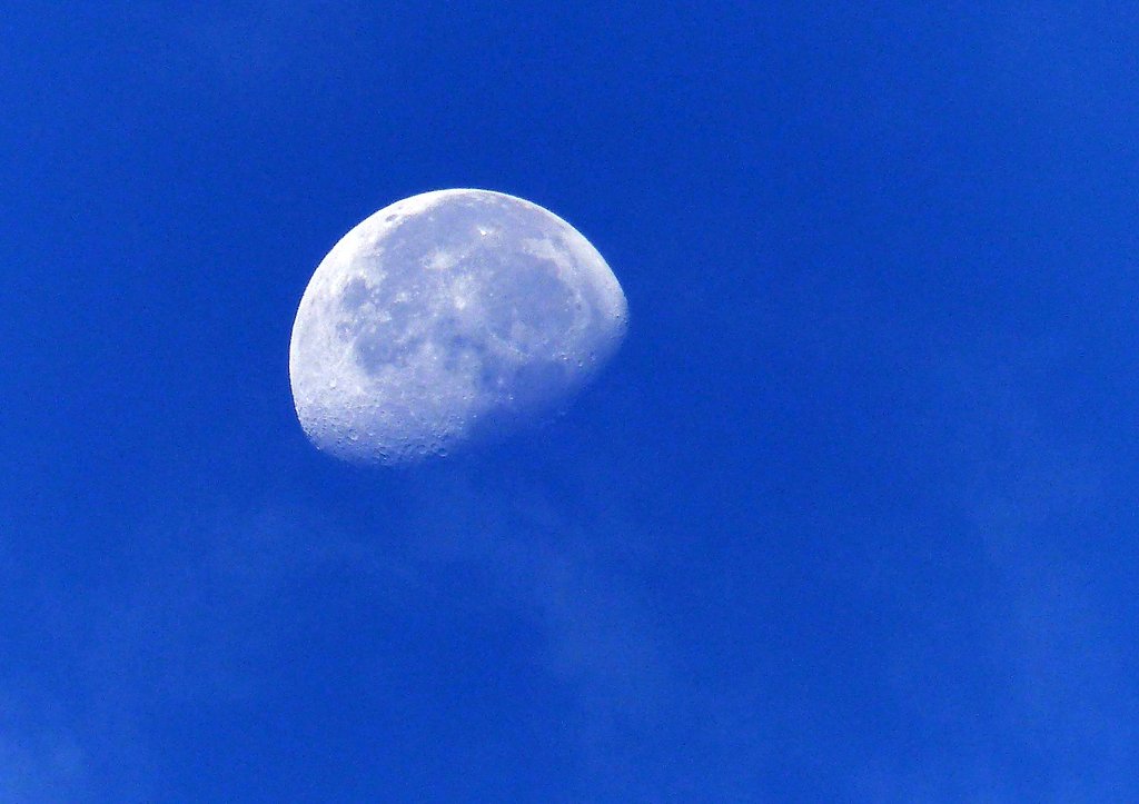 【天】青空に浮かんで見えました。