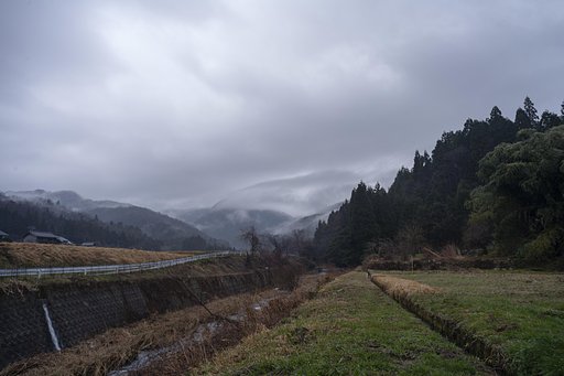 村の奥辺り！