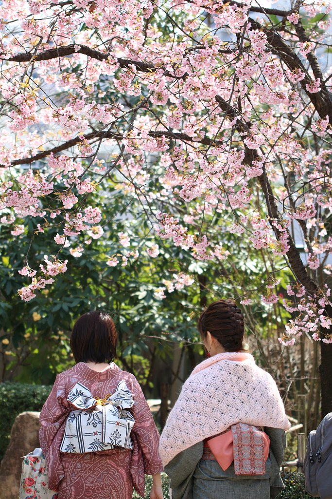 これぞ女の花道、言うことなし！