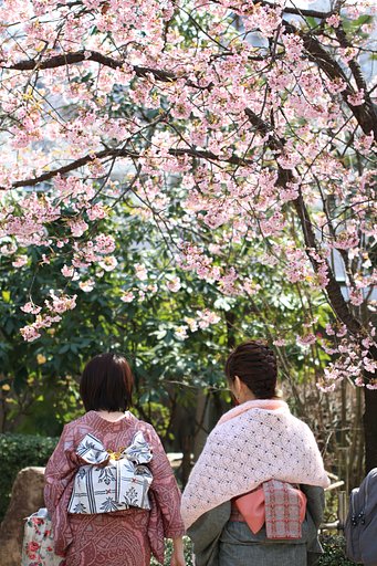 これぞ女の花道、言うことなし！