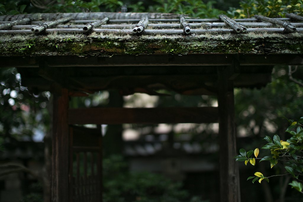 庭門