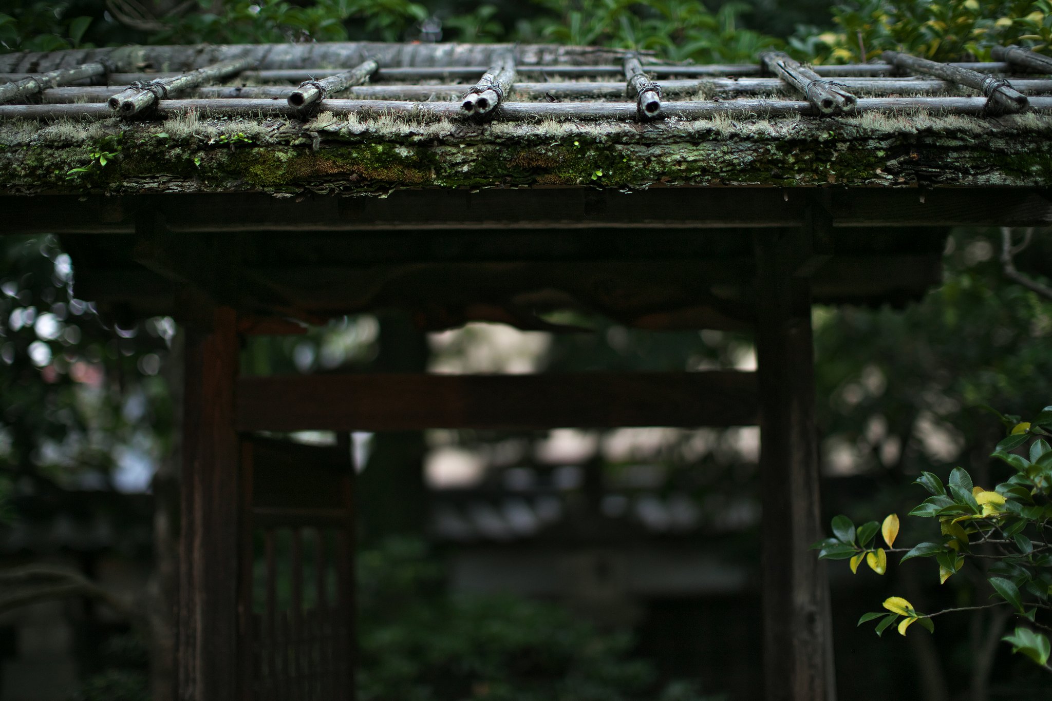 庭門