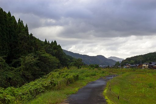 西側を・・。