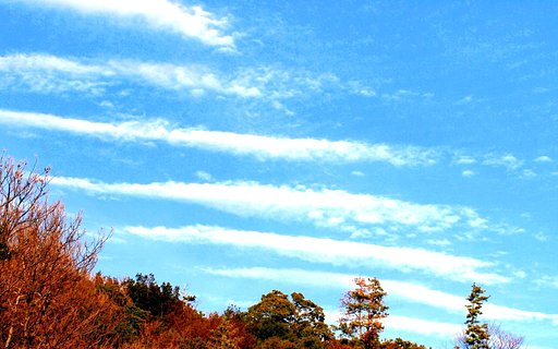 【天】青空　5