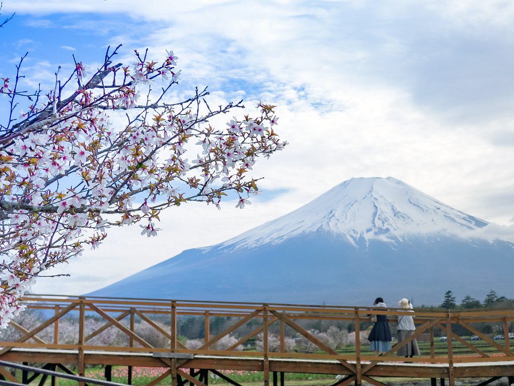 富士山
