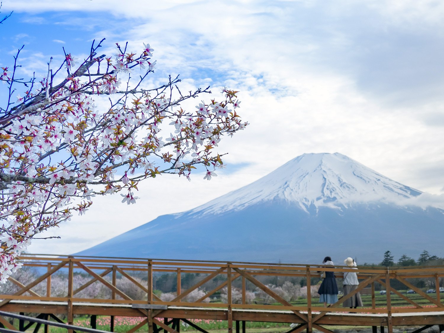 富士山