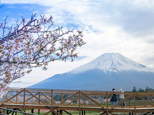富士山