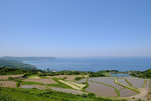 棚田