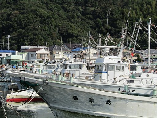 港町は漁船の銀座通りなんです　⛵