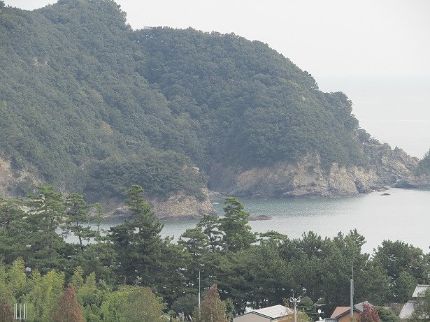 大きな海岸は森まで伸びています