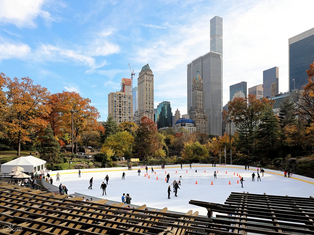 Wollman Rink