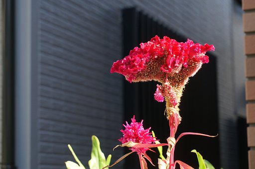 11月22日の写真