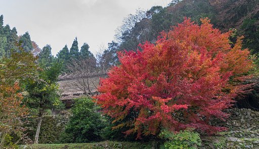 茅葺屋根