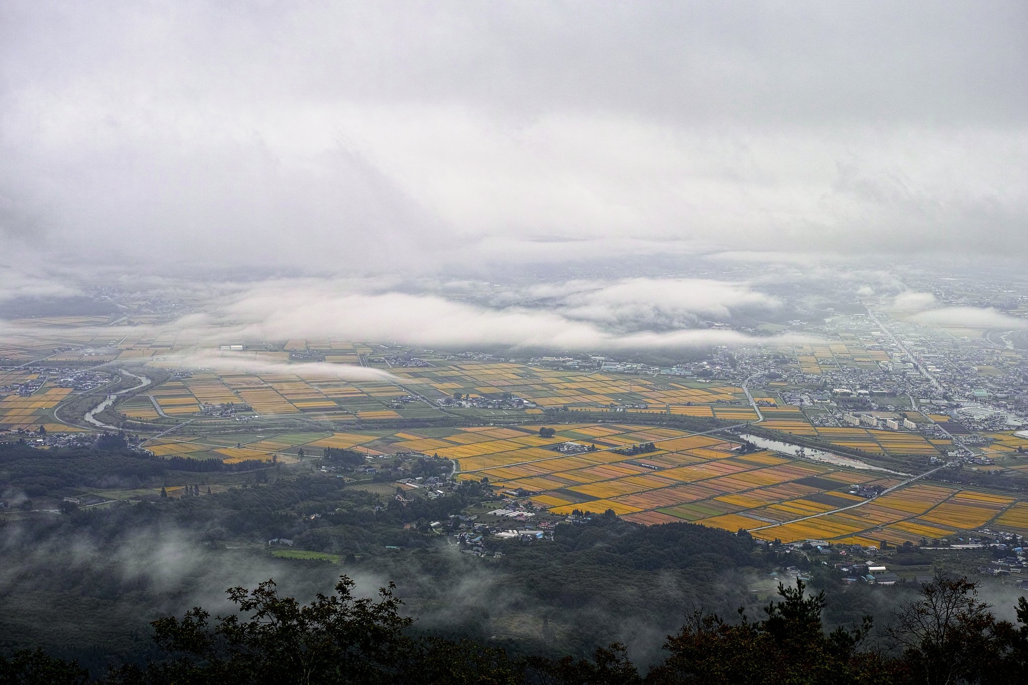 遠野　雨