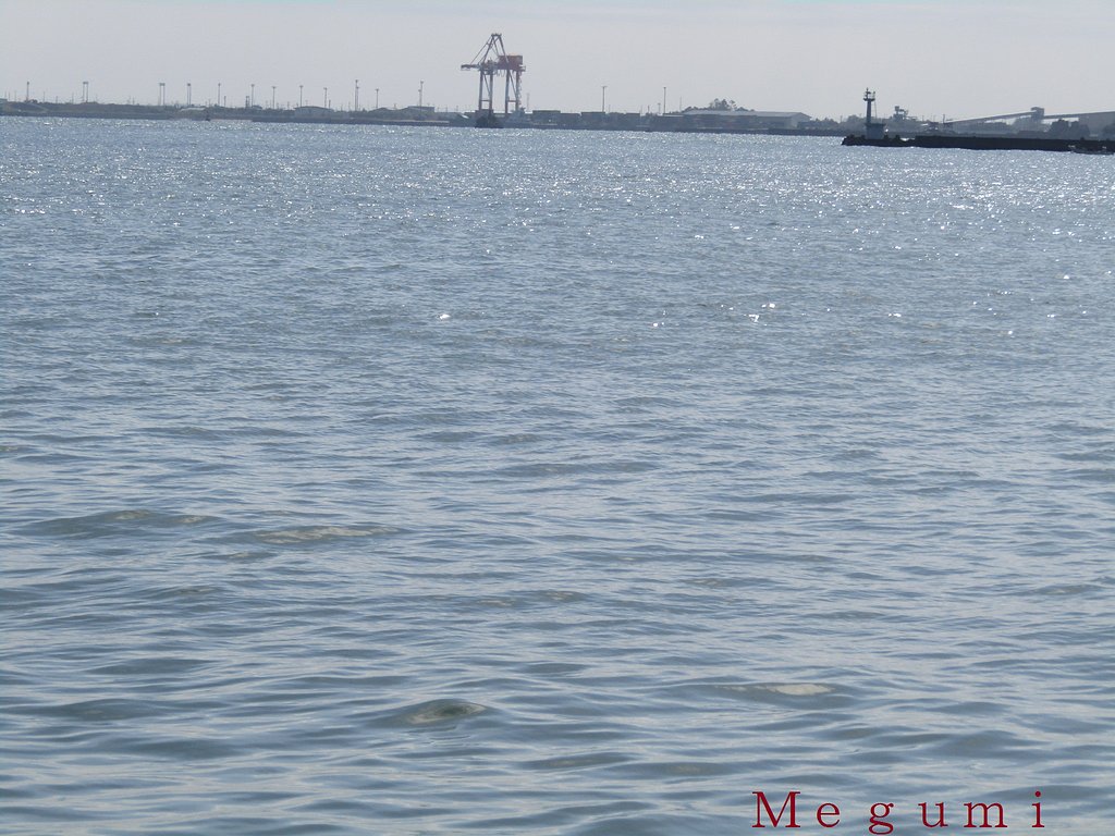 自称麒麟が見ています　案外人気あるようです