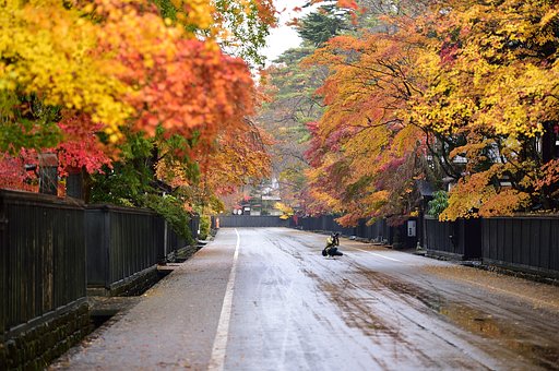 角館武家屋敷通りの紅葉
