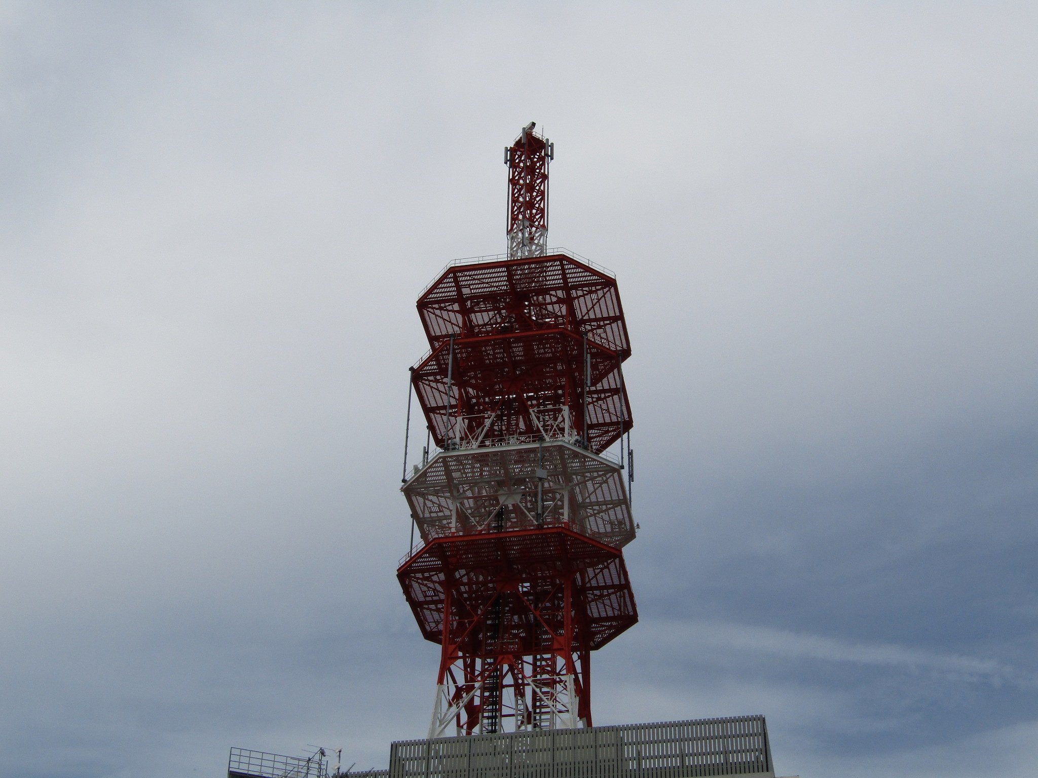 大学コンプレックスが横行しています