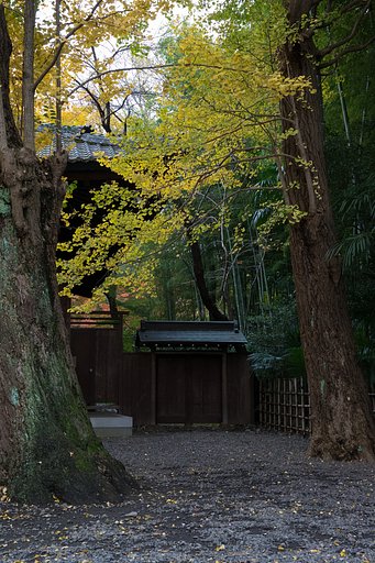 EF24-70mm F4 L IS