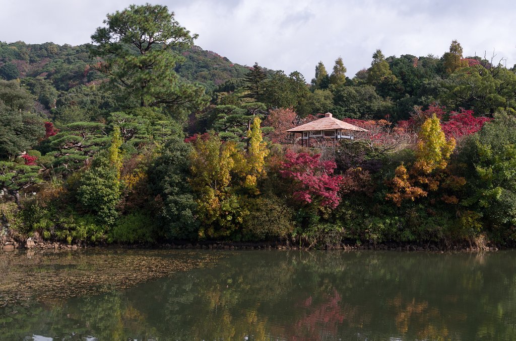 【色】庭園