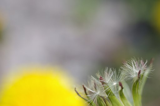 ぼくもそのうち