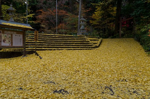 カーペット