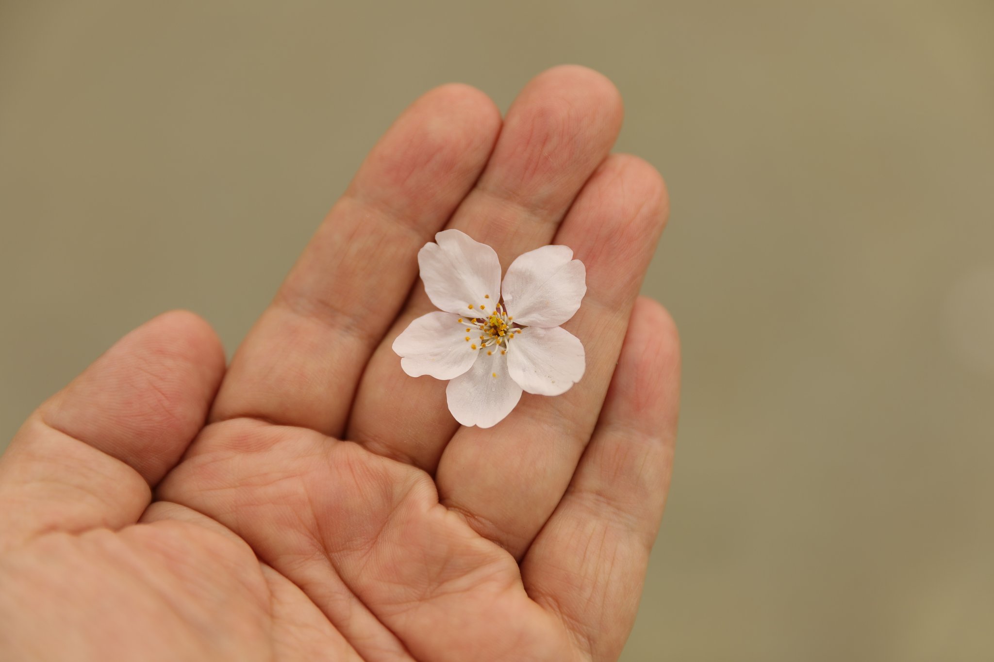 群馬平野部