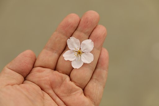 群馬平野部