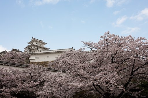 予報を信じて