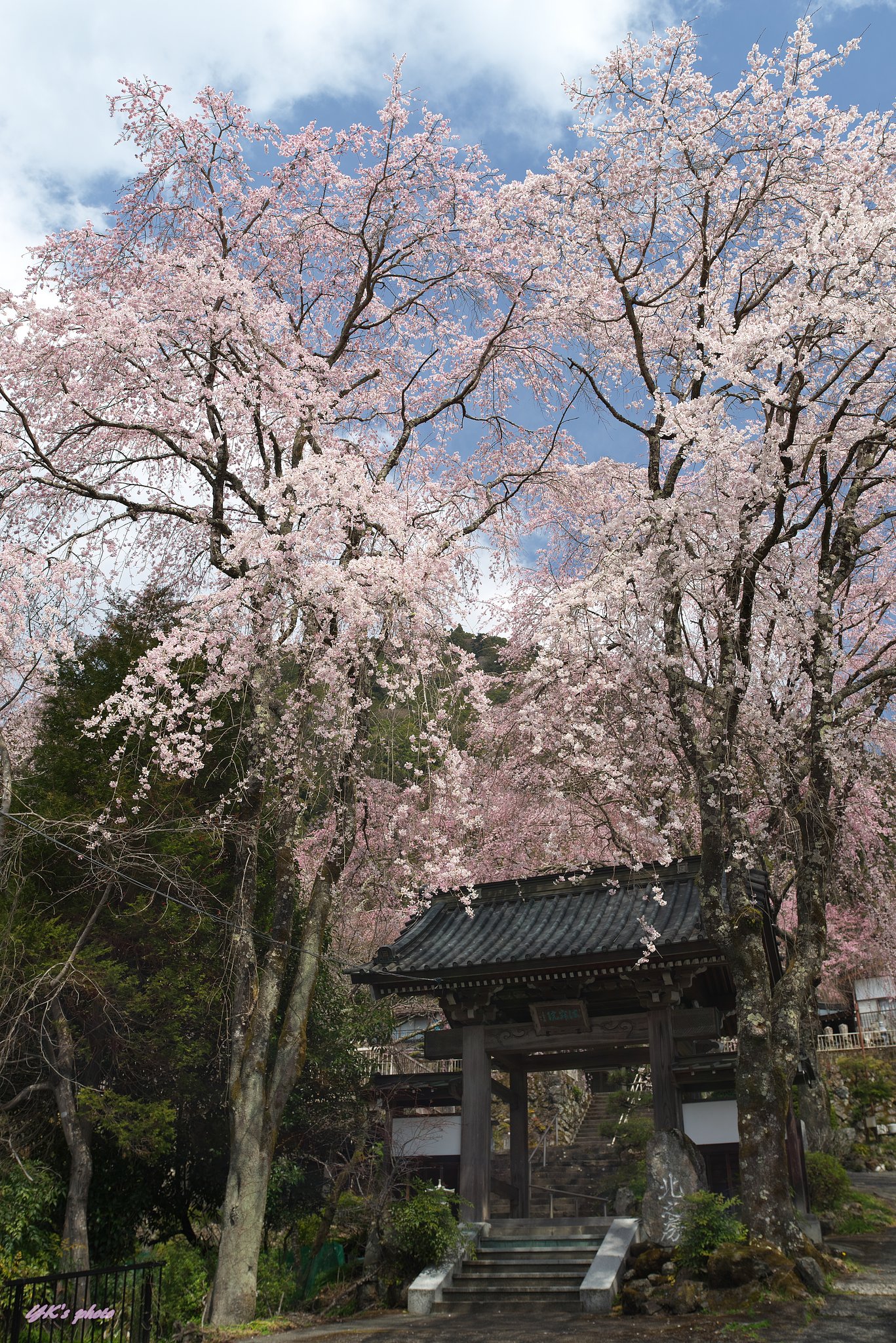 Otus 28mm F1.4 ZF2