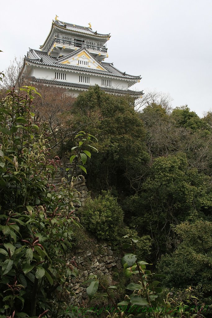 岐阜城