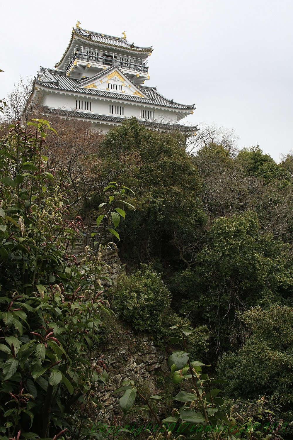 岐阜城