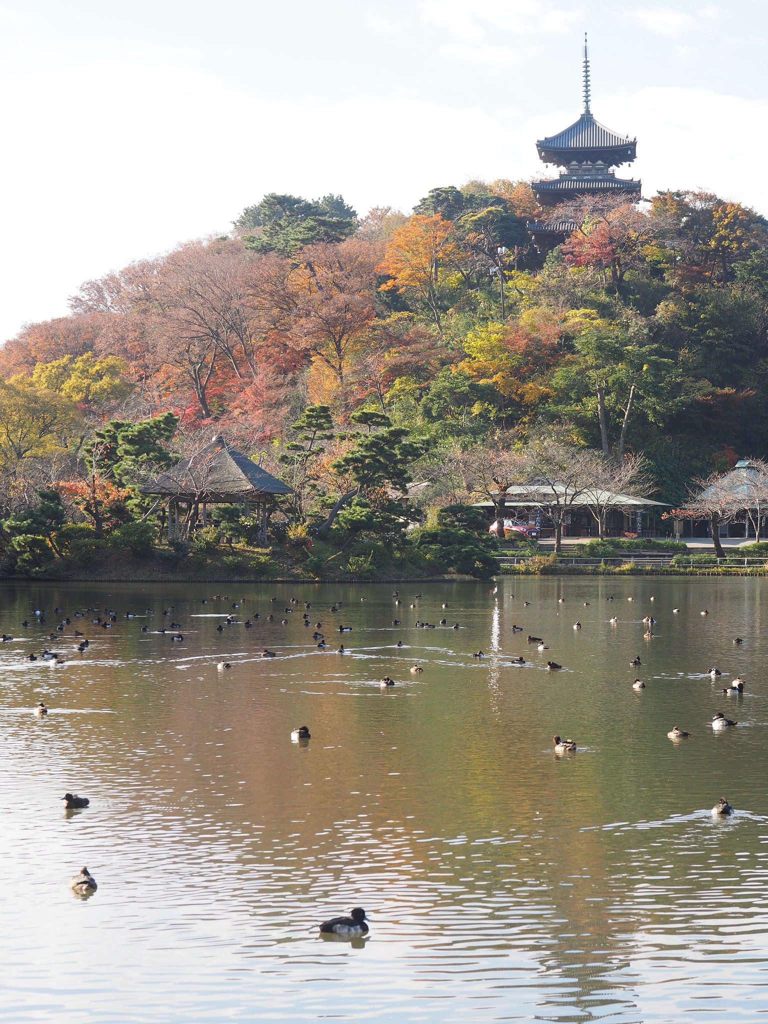旧燈明寺三重塔