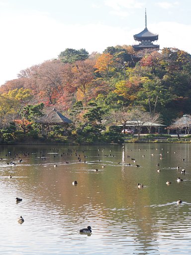 旧燈明寺三重塔