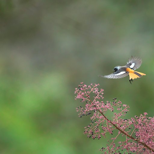 狙い決めた！