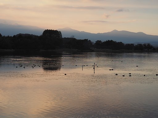 南湖夕景