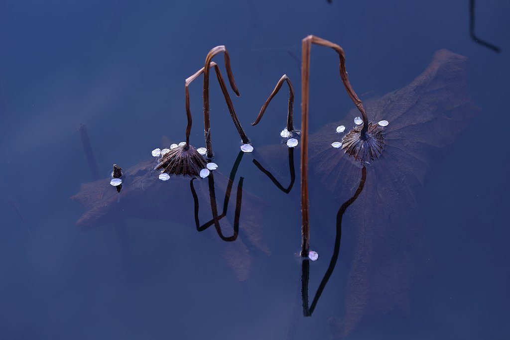 待ち時間 足元を見れば・・・