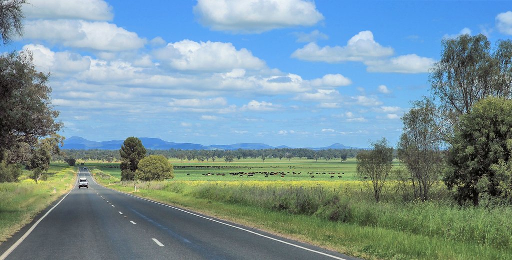 旅先にて（その１）Aussie Beefの国